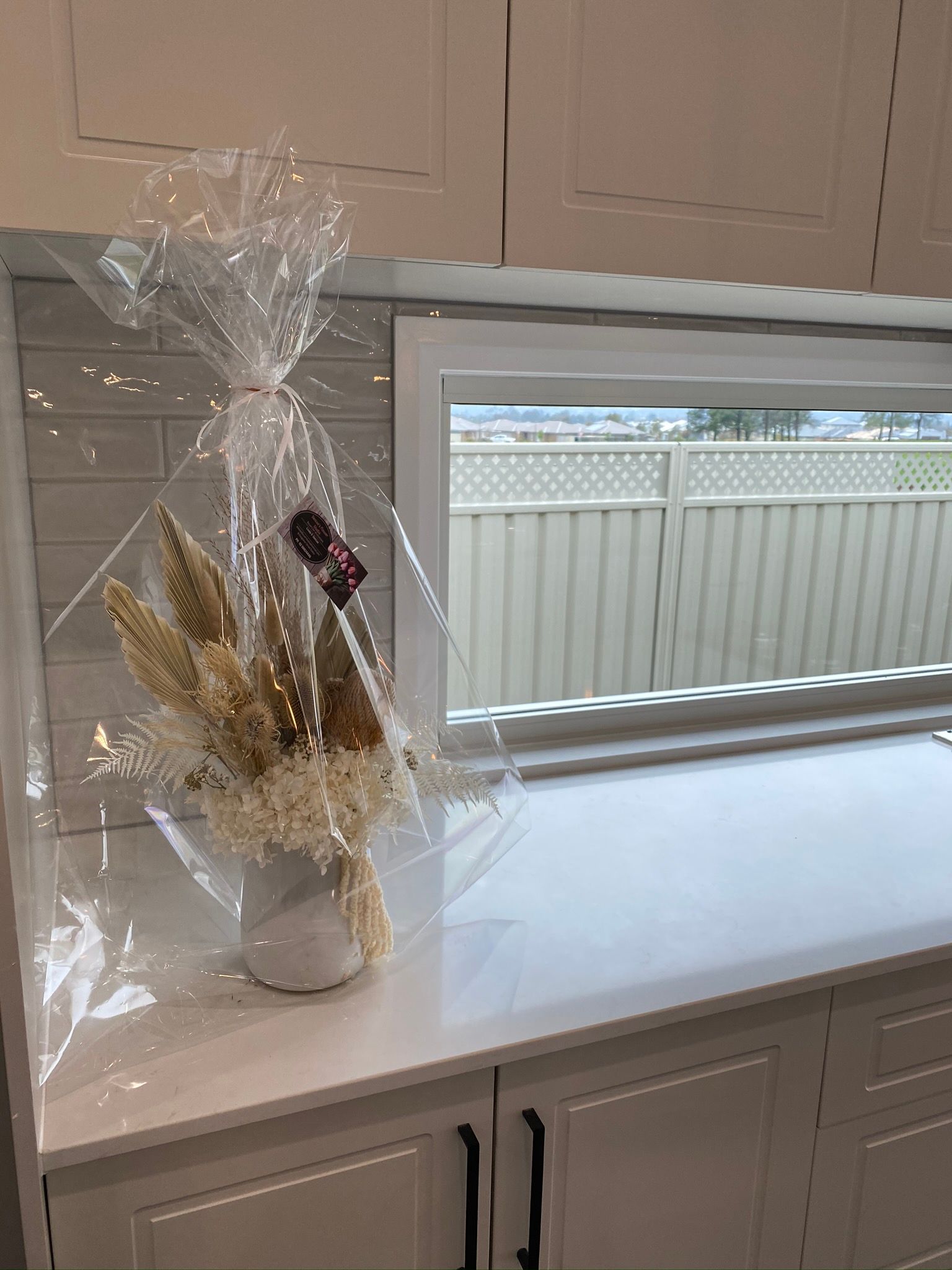 Close Up of Beautiful Flower on a Countertop With Large Window — Kitchen Renovations in Dubbo, QLD