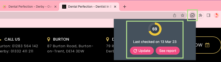 Screenshot of Insites Chrome extension showing the state after a business has been audited
