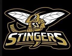 The stingers logo is a bee holding a hockey stick.