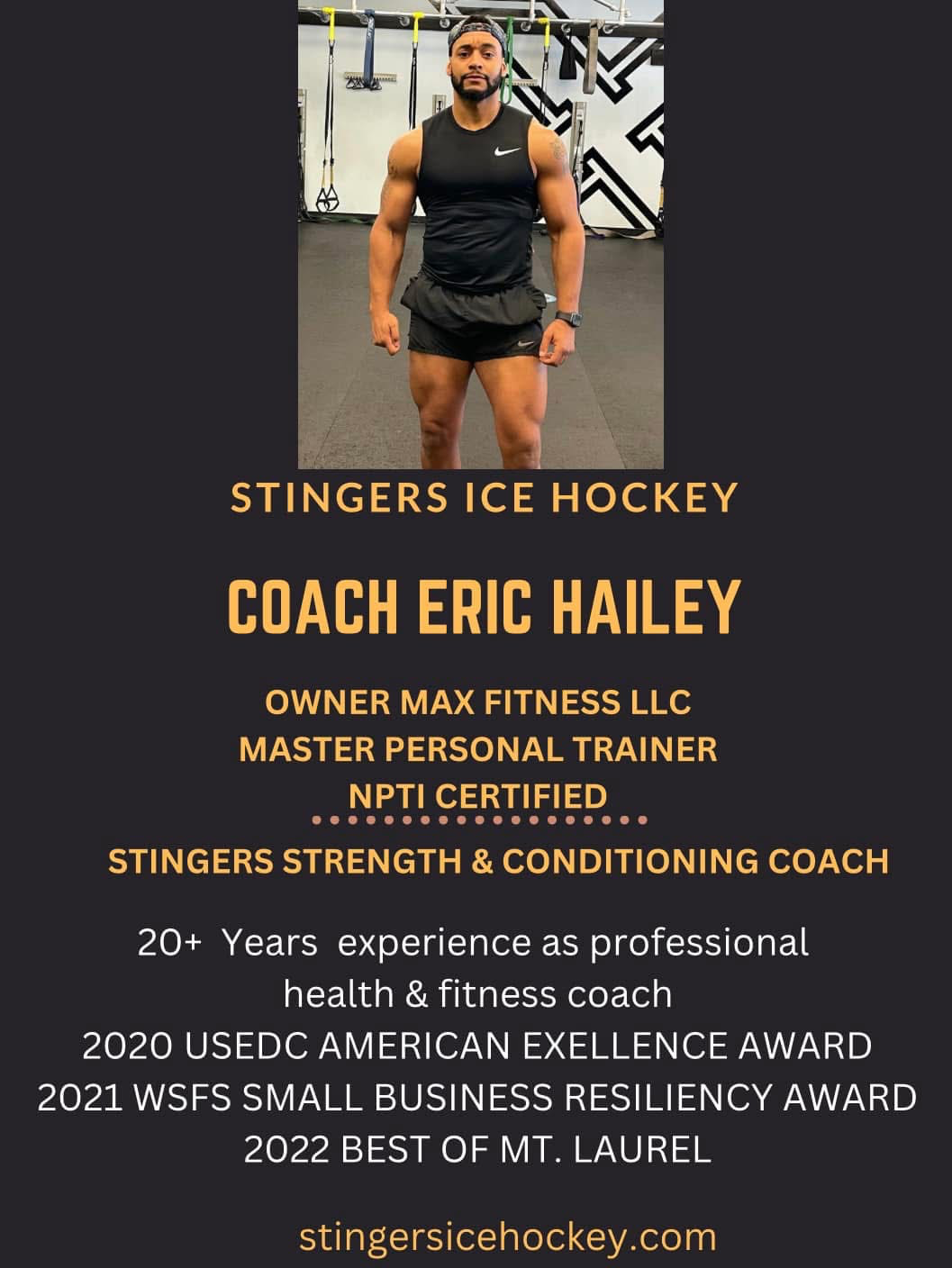 A poster for stingers ice hockey coach eric hailey