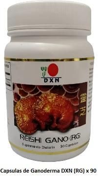 Capsulas de Ganoderma (RG) x 90