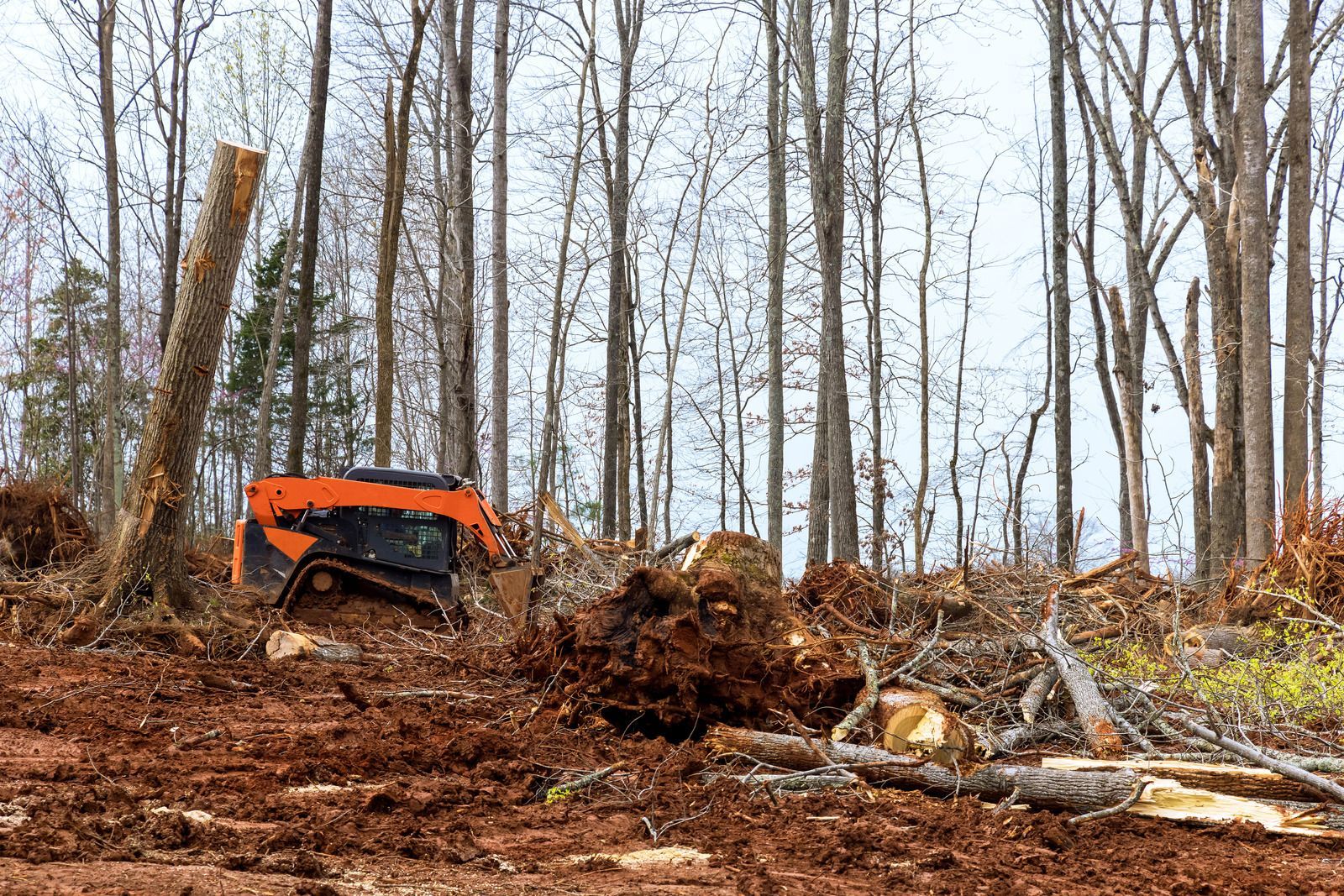Yellow skid steer on a dirt lot, moving earth. Buildings and trees in the background.