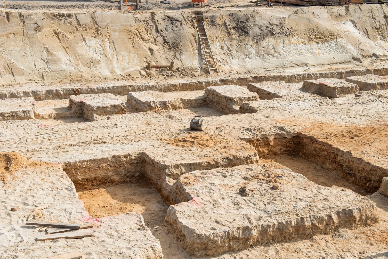 Yellow skid steer moving dirt in a residential yard.