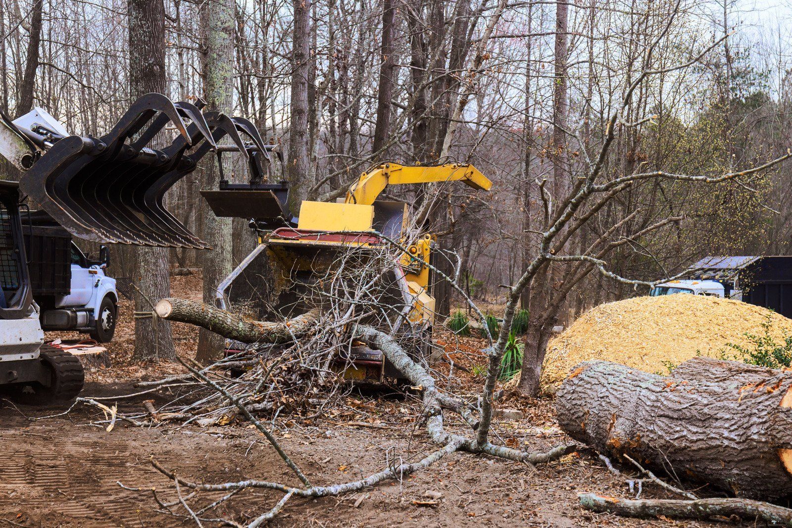 A wood chipper processes tree branches, with a tractor nearby, in a wooded area.