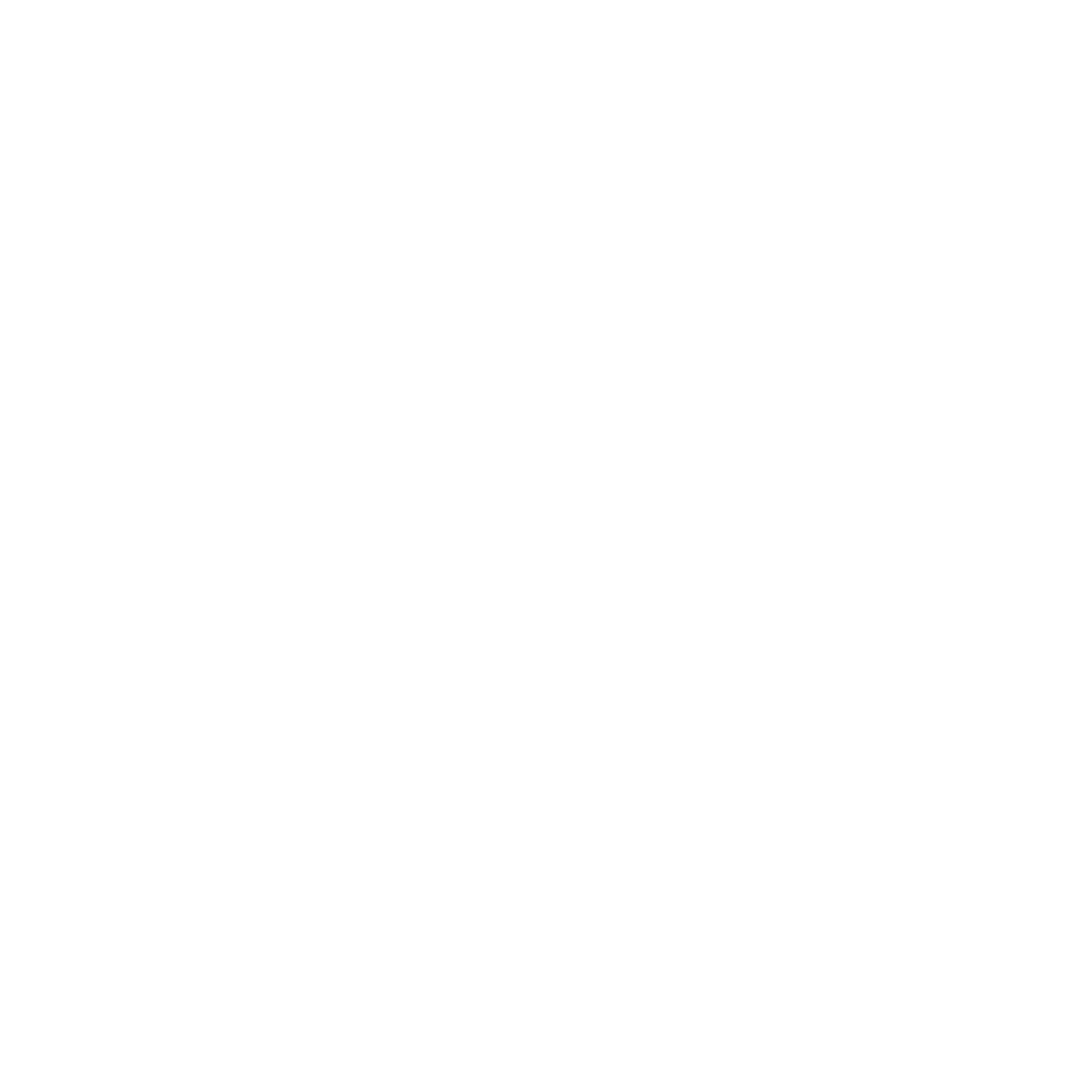 Logo bianco