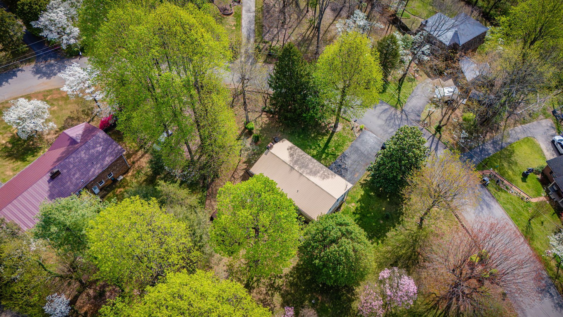 Aerial view of a residential lot with a beige house, mature trees, a driveway, and a neighboring purple-roofed home.