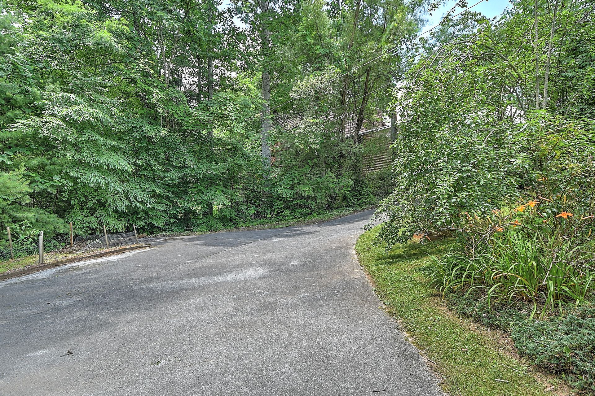 A road going through a forest with trees on both sides.