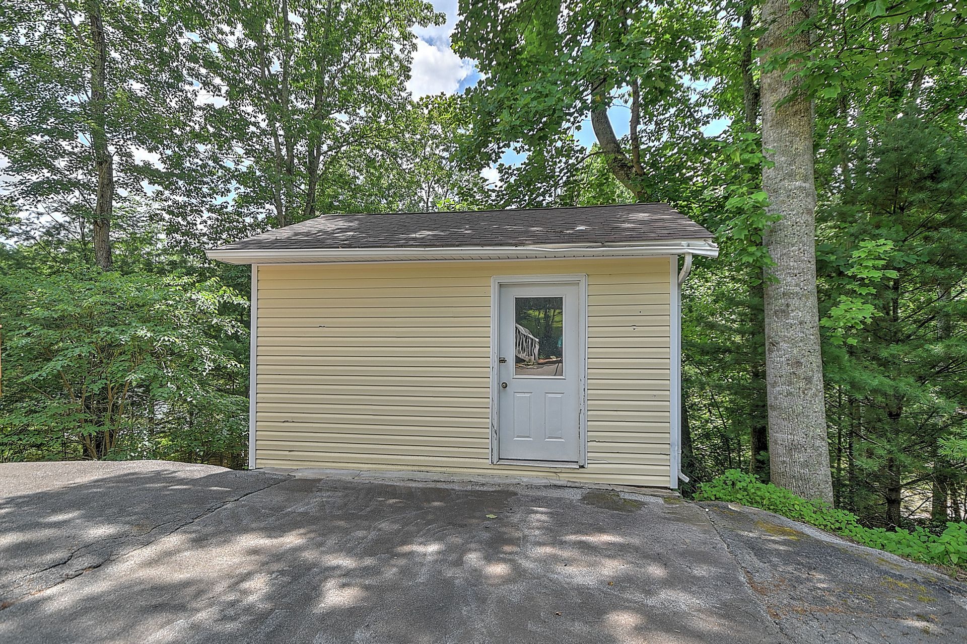 A small shed in the middle of a forest