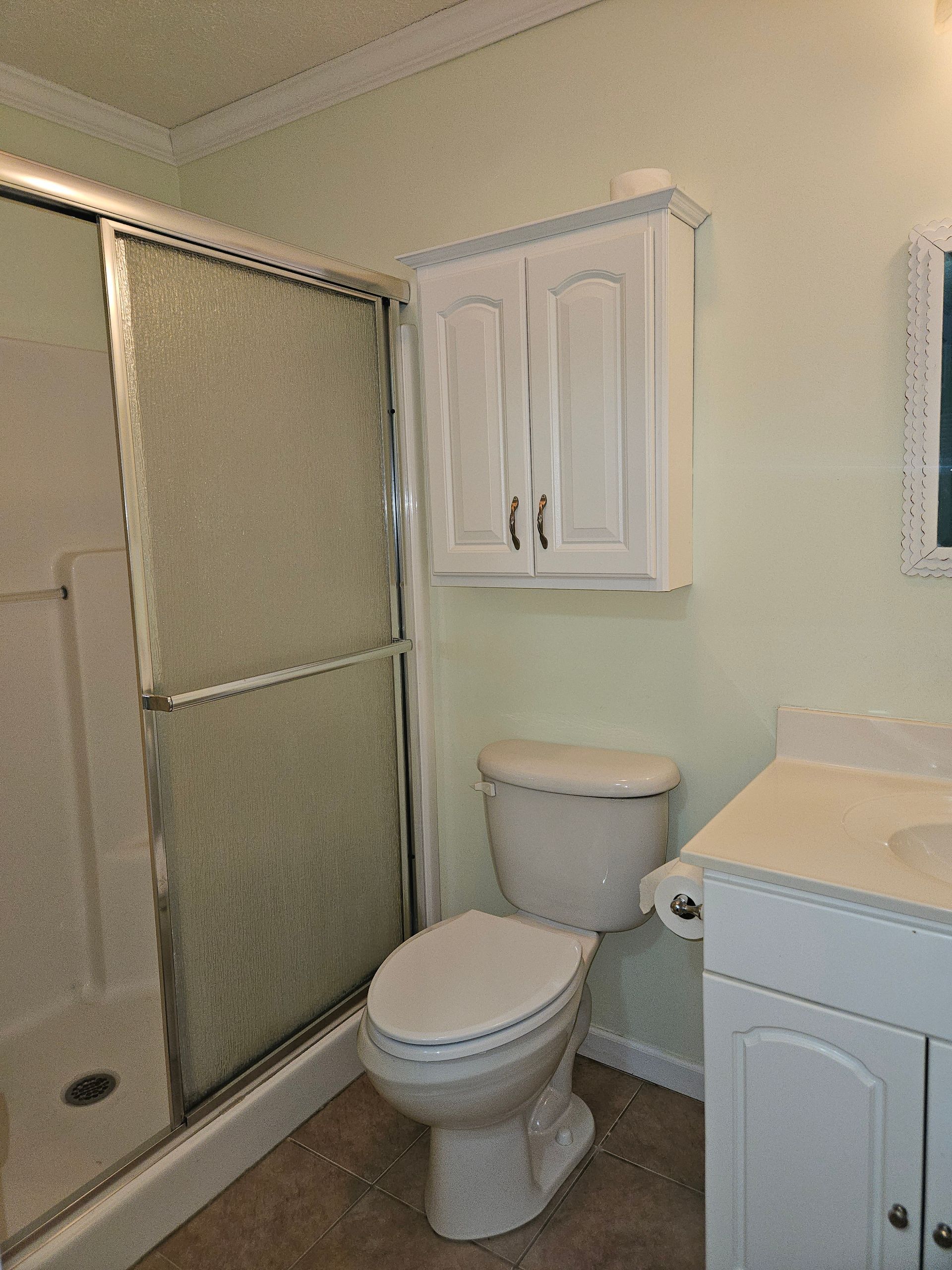 A bathroom with a walk-in shower, a white toilet, and a matching wall cabinet mounted above the toilet.