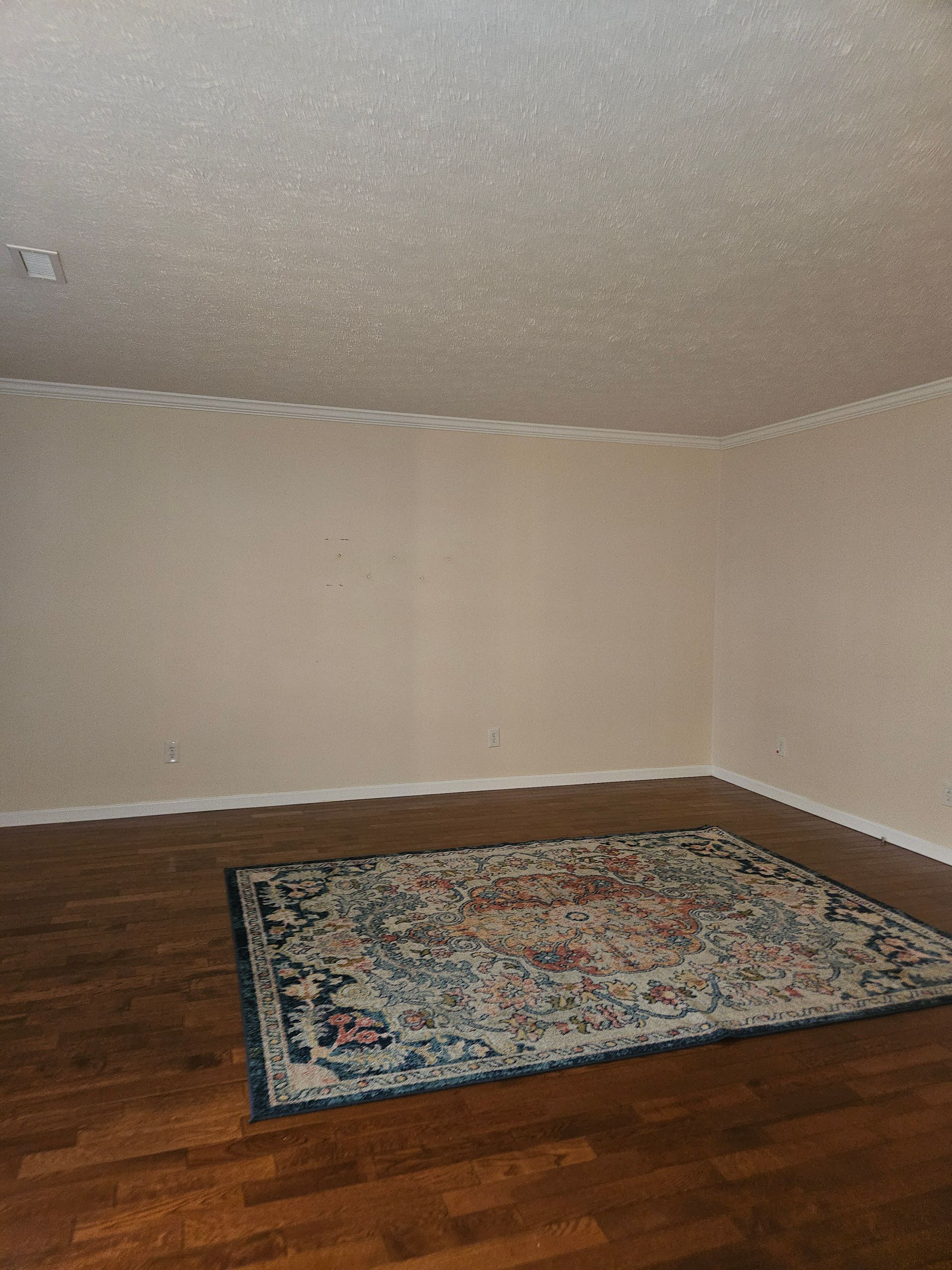 An empty room with light beige walls, a popcorn ceiling, dark wood floors, and a patterned area rug in the center.