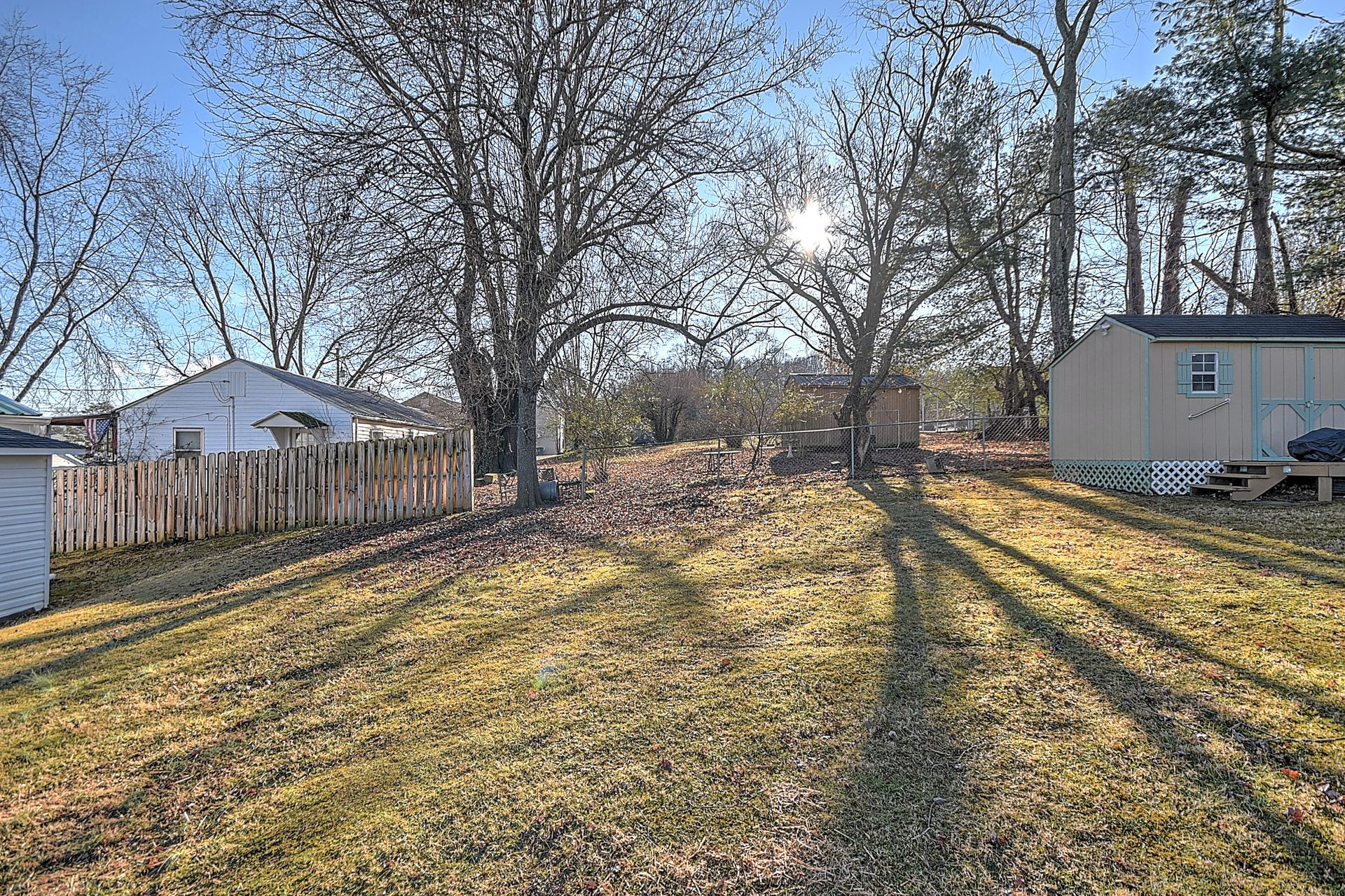 Backyard with trees, sunlight, and sheds, surrounded by a wooden fence.
