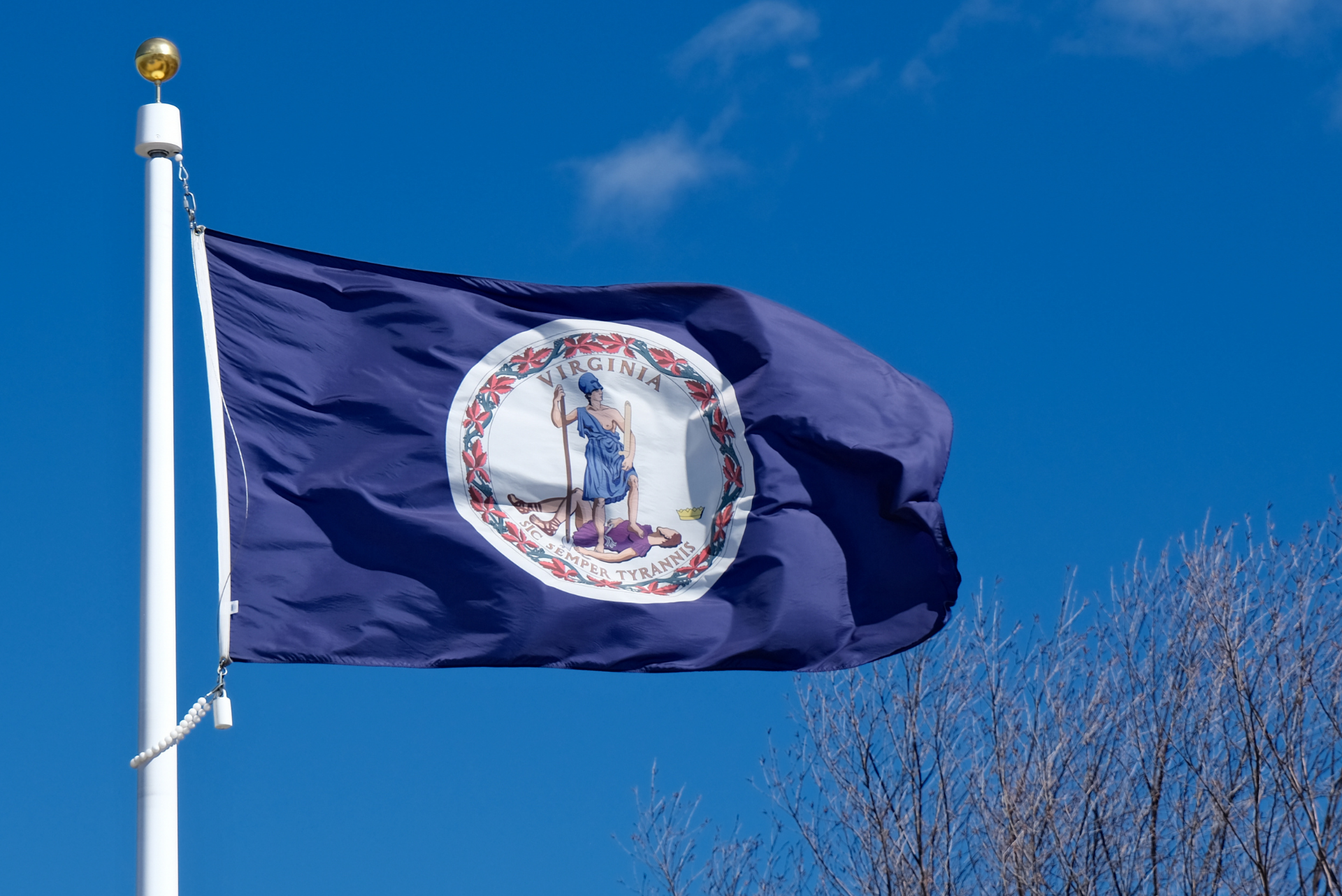 Virginia state flag waving on a pole against a clear blue sky