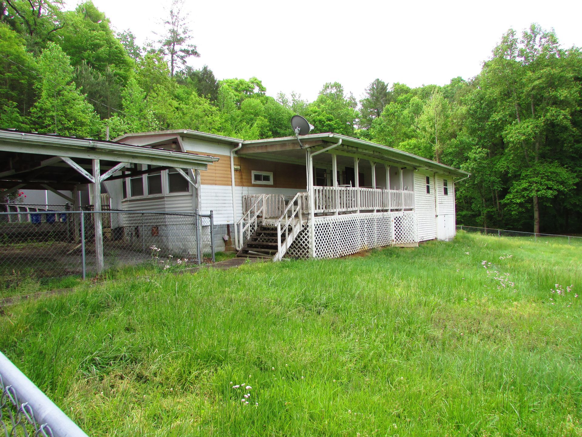 Dilapidated white house with porch, surrounded by overgrown grass and trees