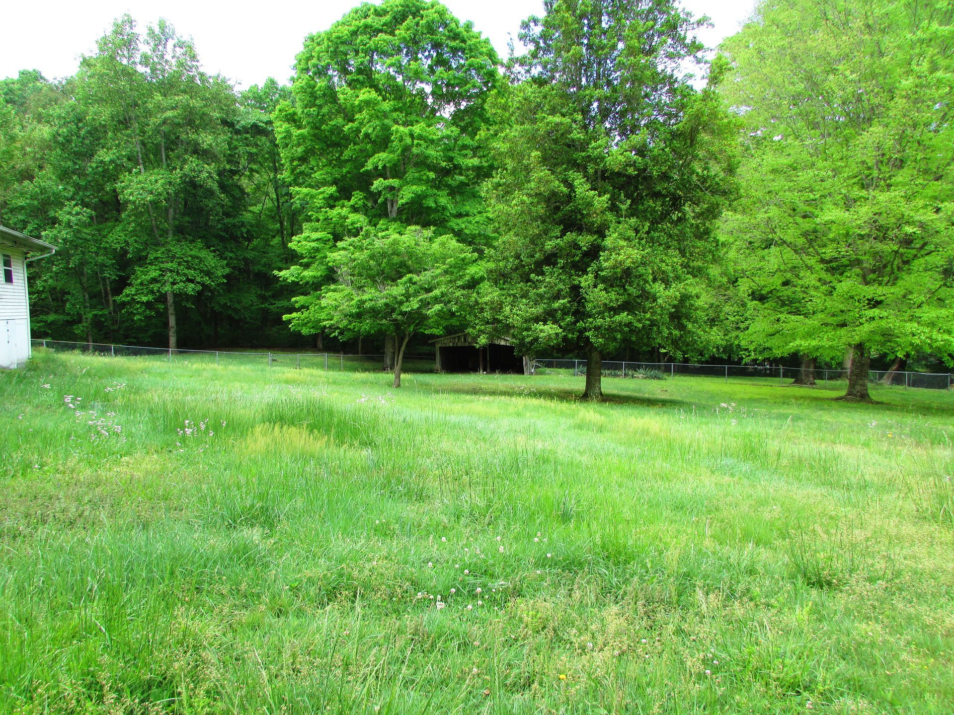 Grassy field with green trees under a bright sky, with a small white building at the left edge