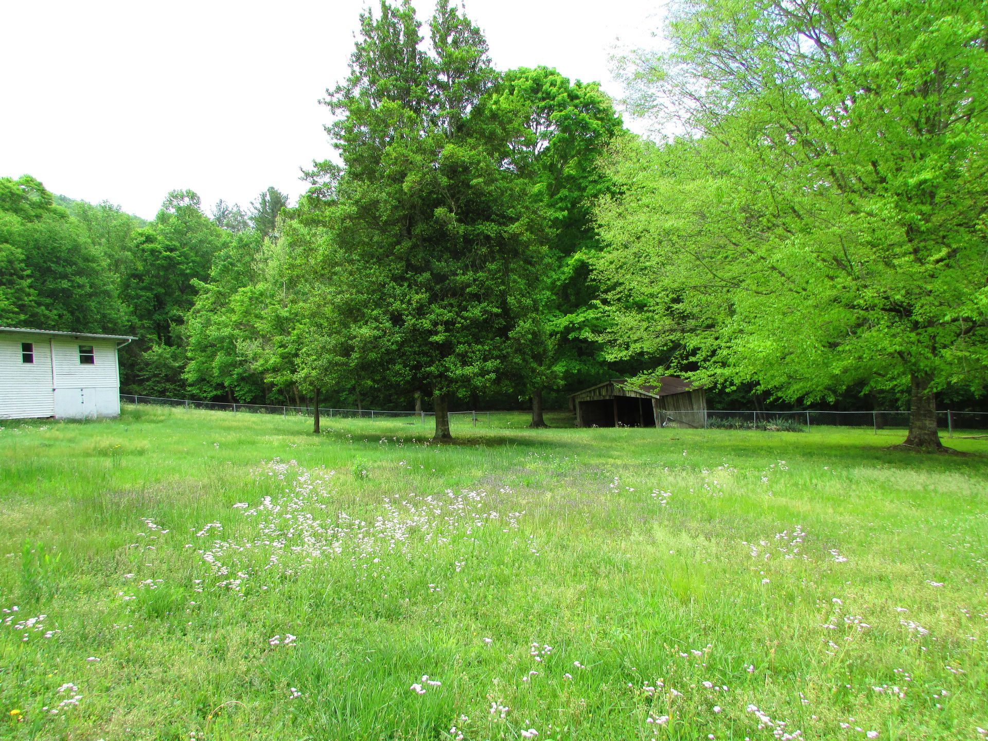 Grassy park with trees and wildflowers beside a small white building