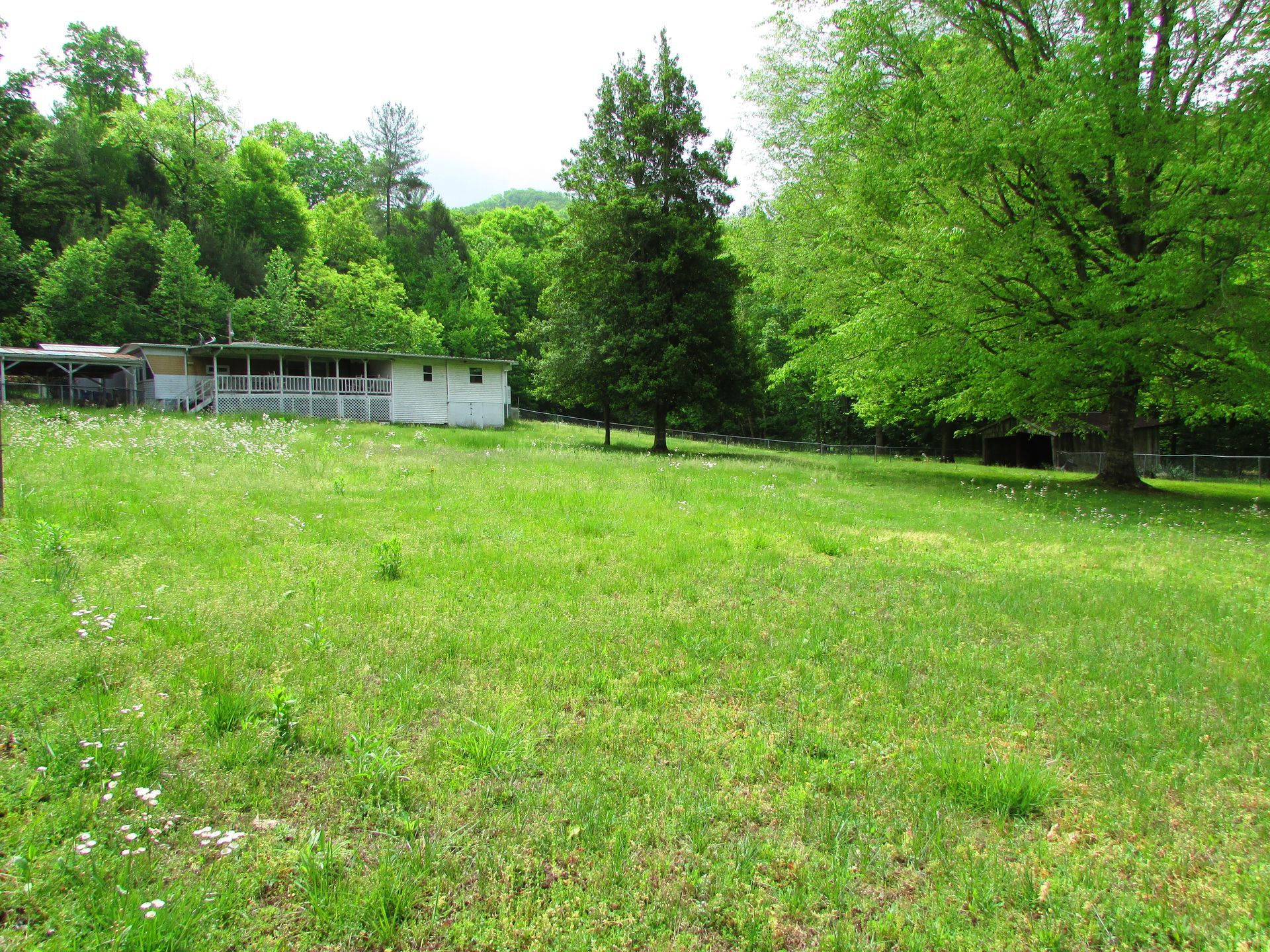 Grassy park with bright green trees and a small white building in the background