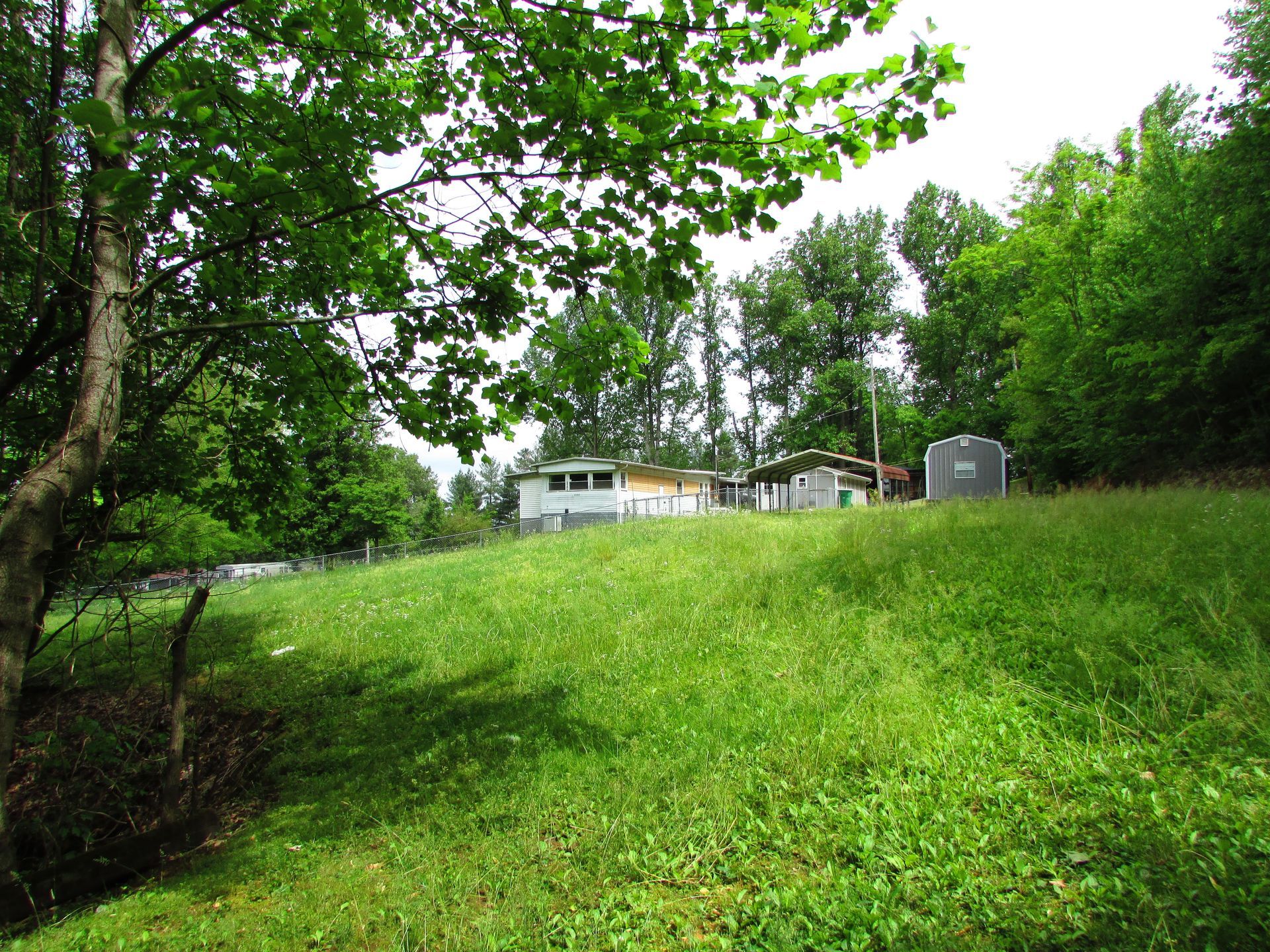 Grassy backyard with trees and a small house in the distance