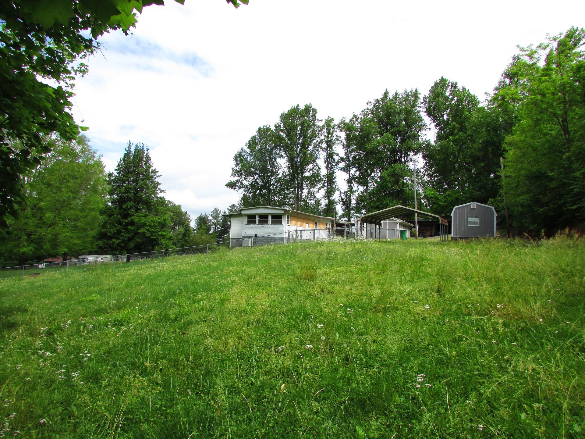 Grassy field with trees and a few houses under a partly cloudy sky