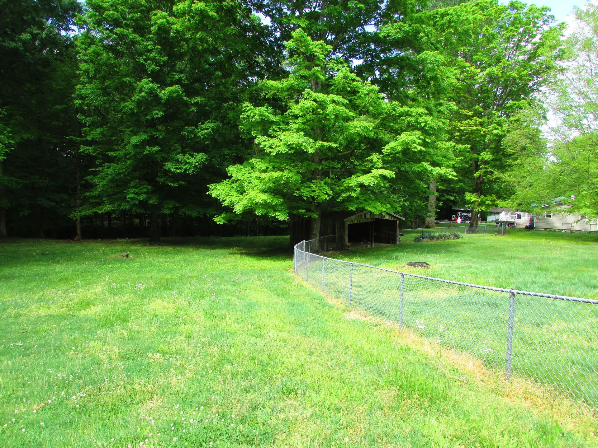 Grassy field beside a chain-link fence with leafy green trees in the background