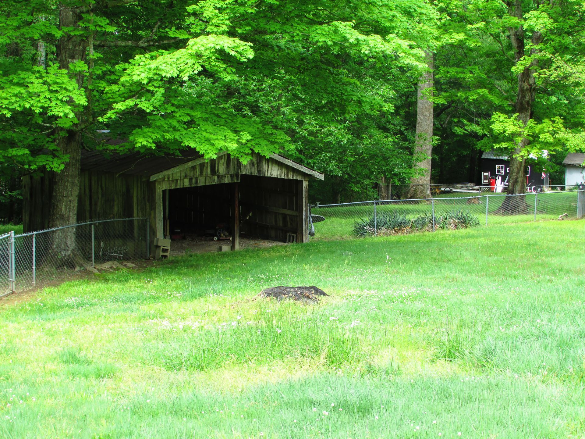 Grassy park with a small wooden shelter under dense green trees
