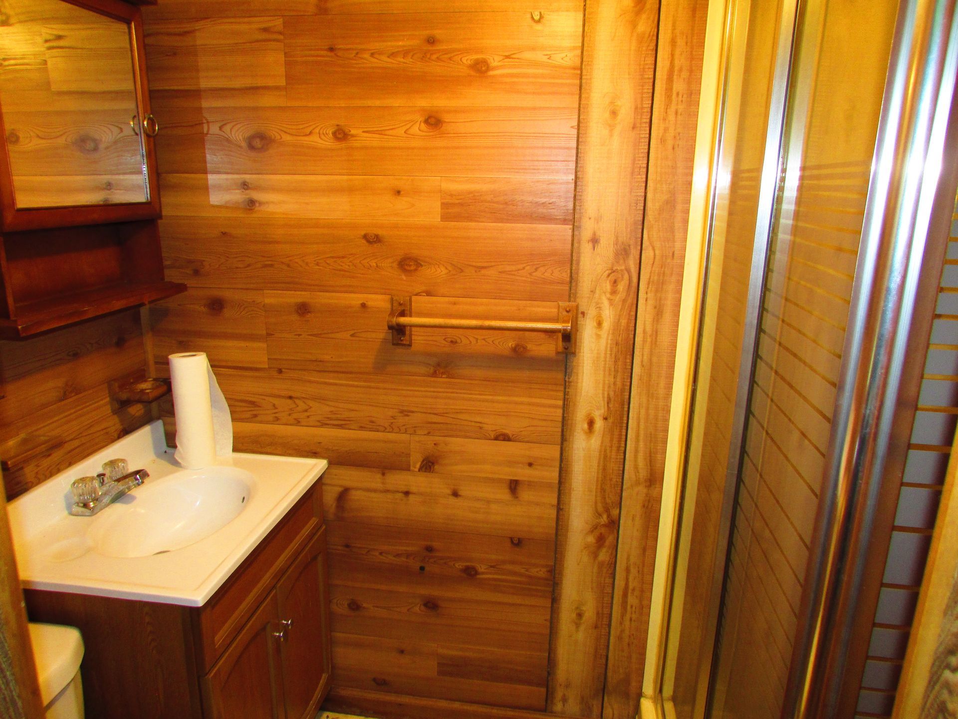 Wood-paneled bathroom with a sink vanity and shower stall