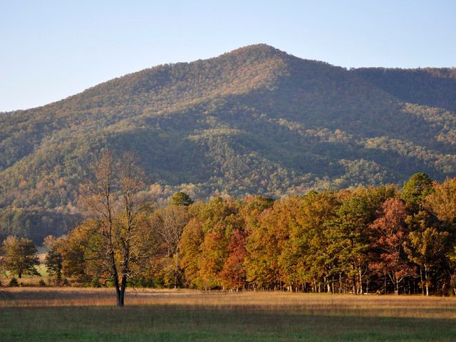 There is a mountain in the background with trees in the foreground and a field in the foreground in Piney Flats Tennessee