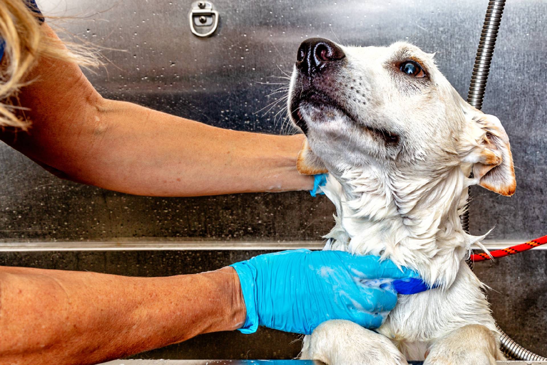 primi piatti di pesce