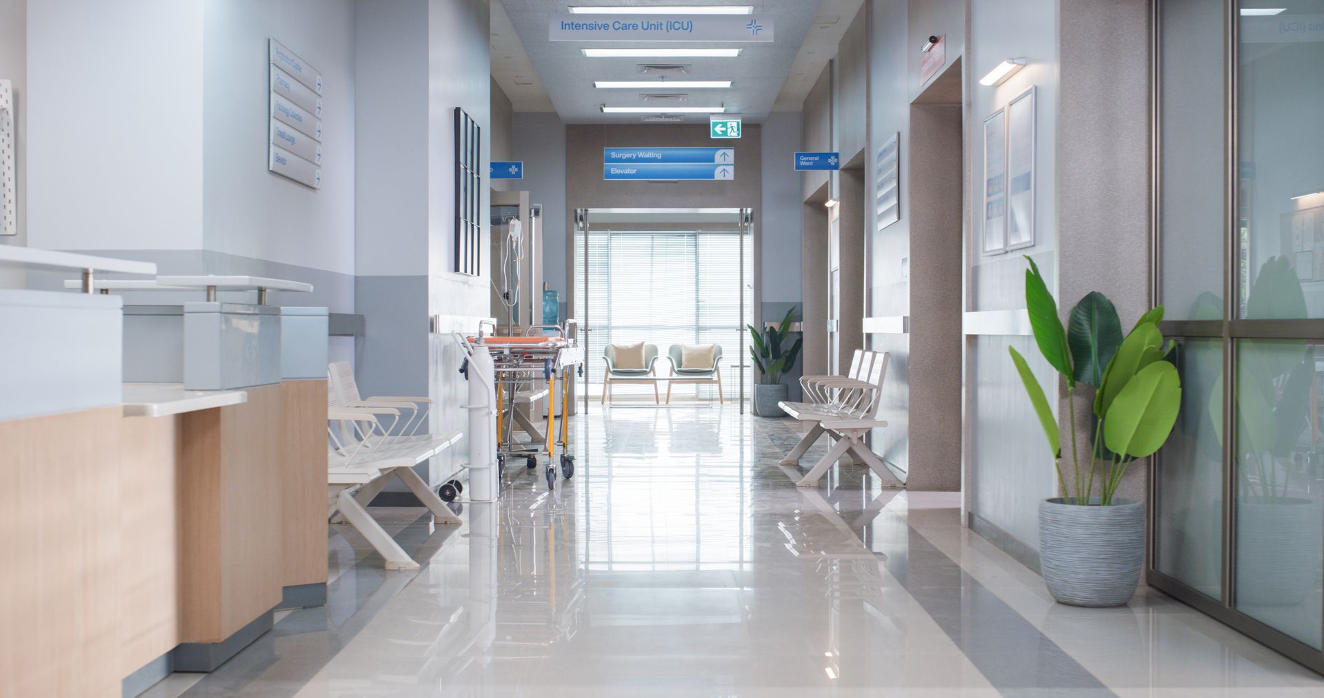 Bright hospital or clinic hallway with glass doors, white walls, and potted plants