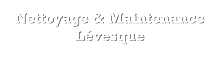 Nettoyage & Maintenance Lévesque