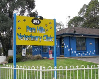 free standing para hills veterinary clinic sign
