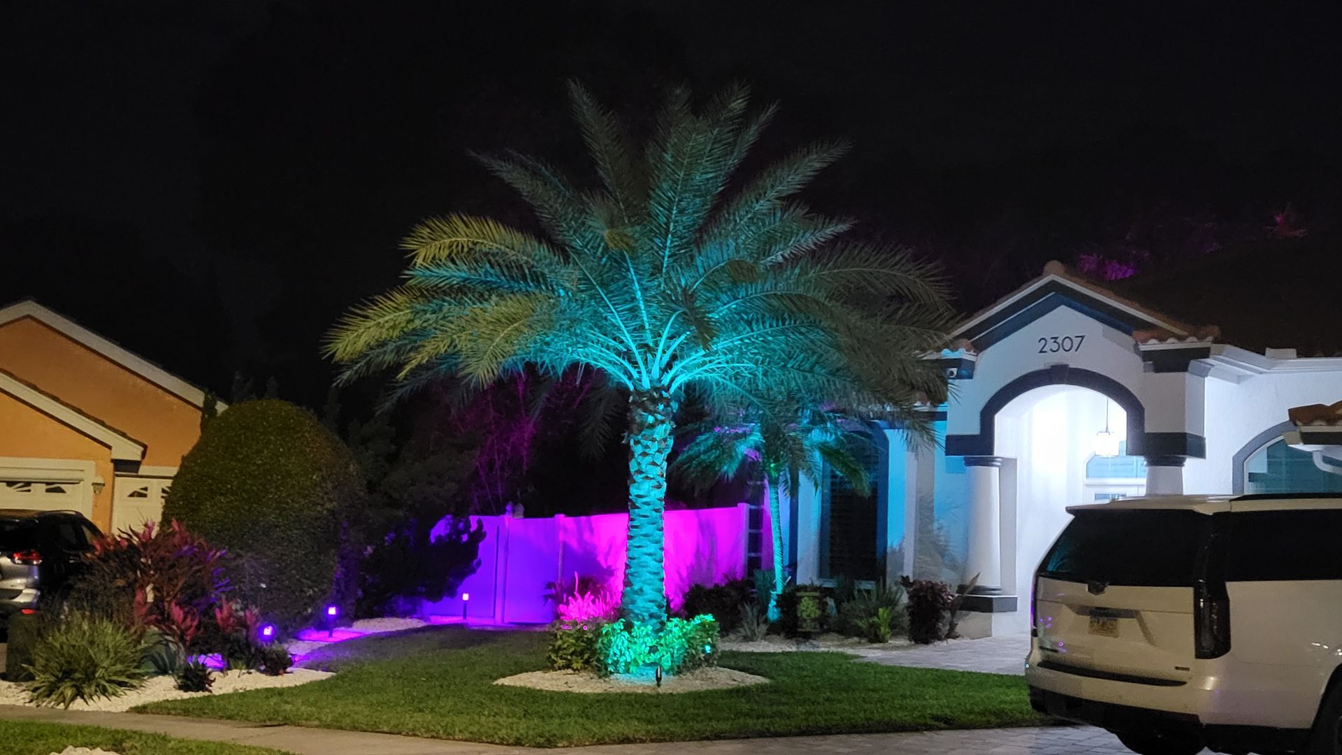 A palm tree is lit up with purple and blue lights in front of a house.
