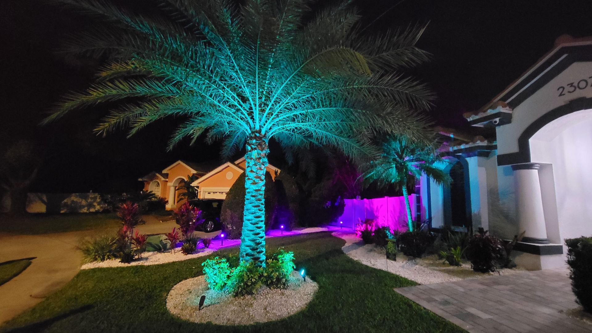 A palm tree is lit up at night in front of a house.