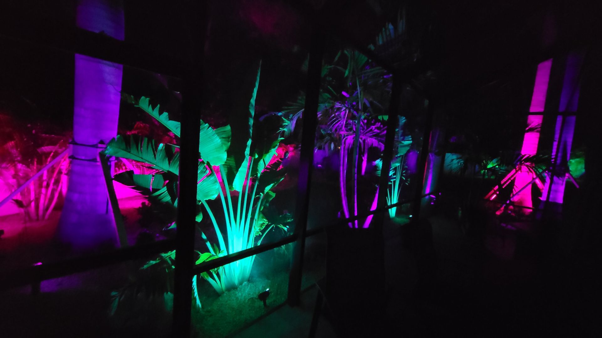 A row of trees are lit up with colorful lights at night.