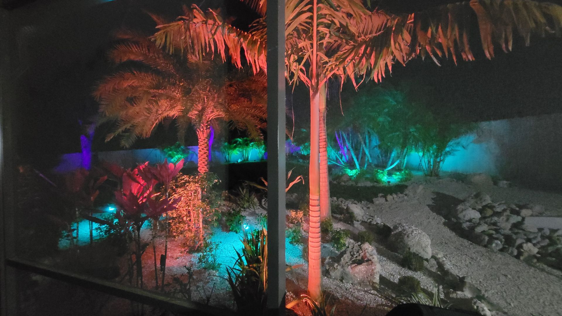 A palm tree is lit up with colored lights at night.