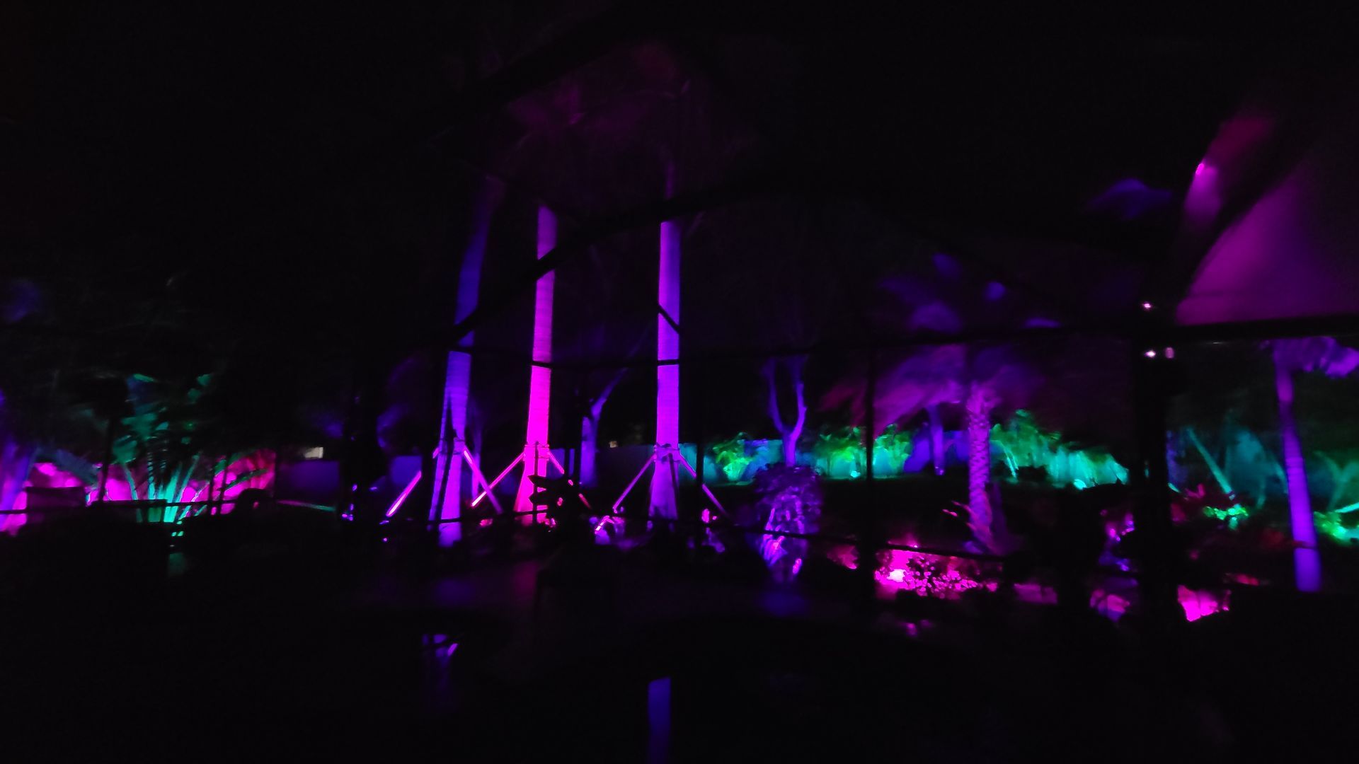A group of people are standing in a dark room surrounded by purple and green lights.