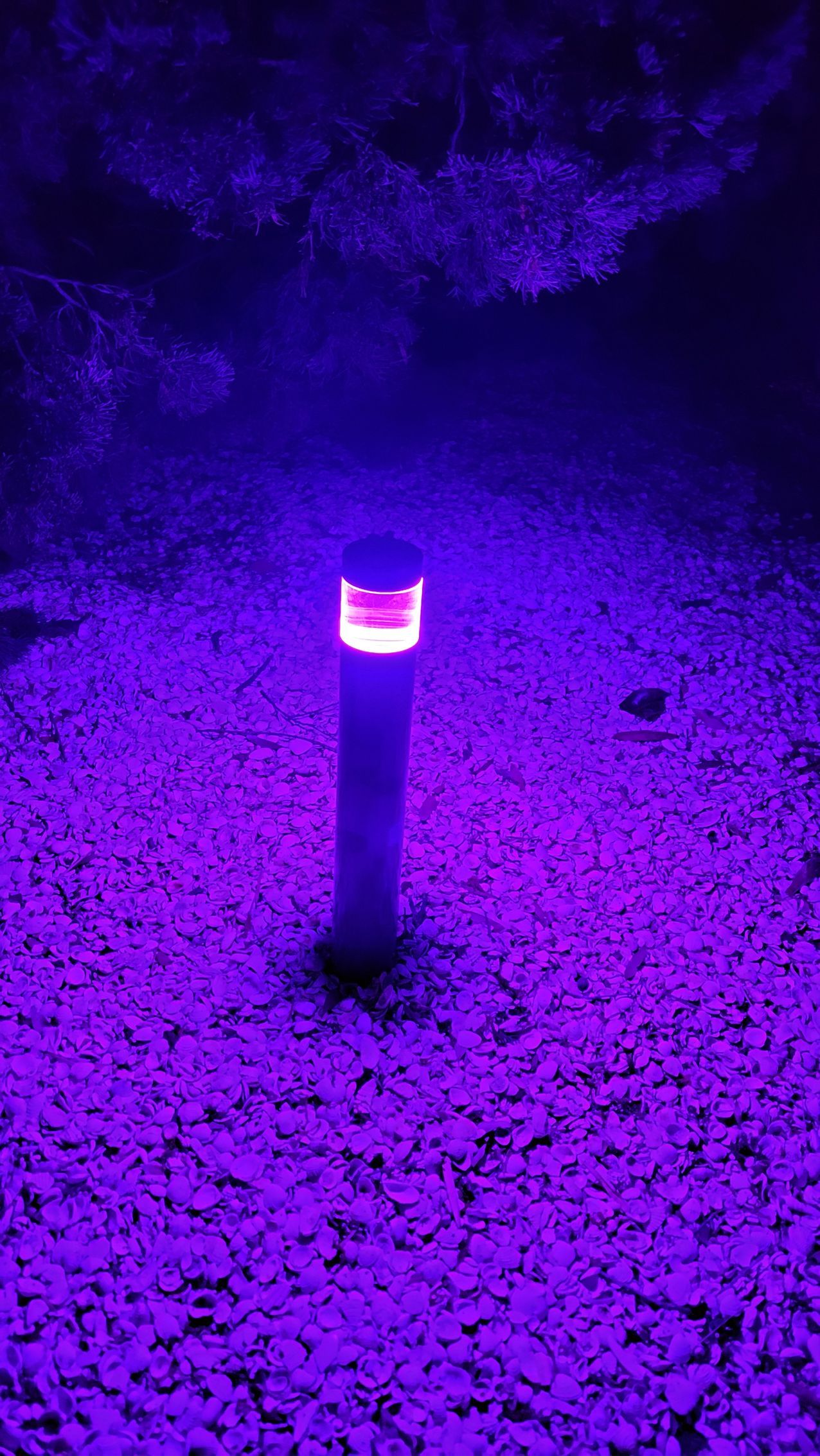 A purple light is shining on the ground in a dark room.