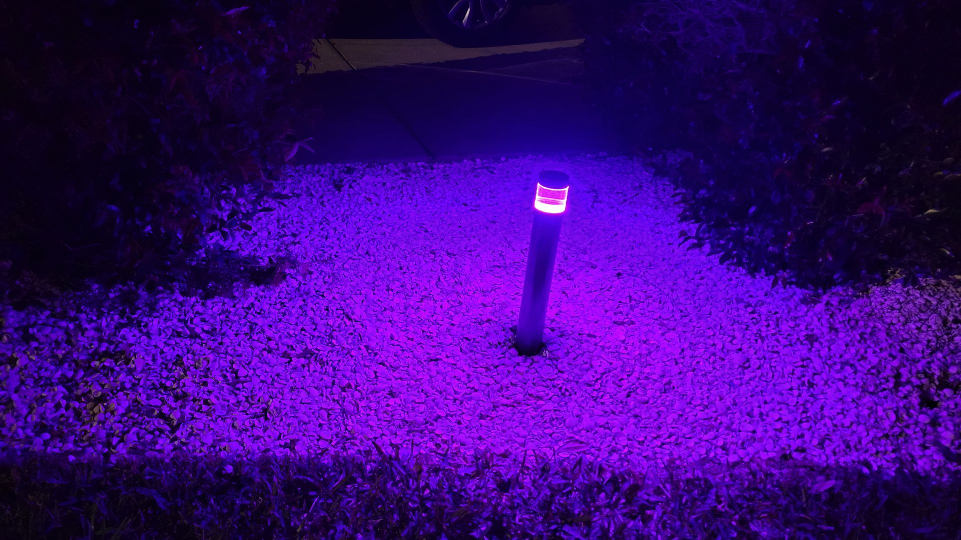 A purple light is shining on a pole in the grass.