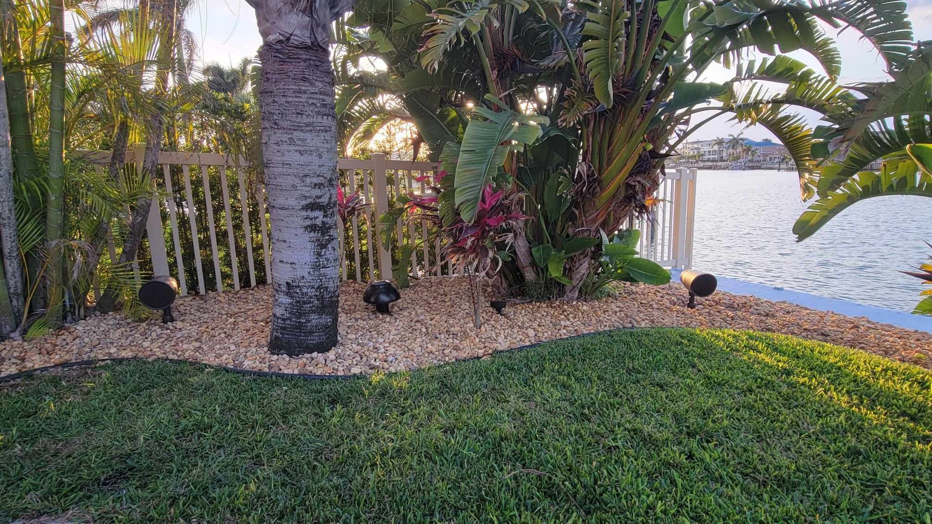 A lush green lawn surrounded by palm trees next to a body of water.