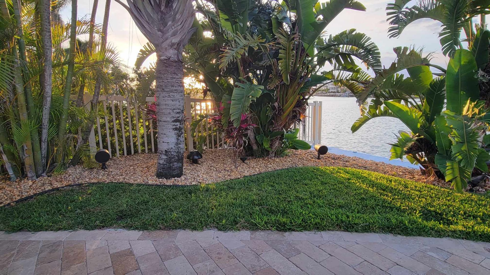 A lush green lawn with a palm tree in the foreground and a body of water in the background.