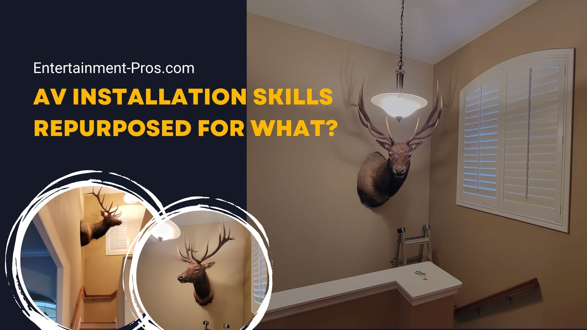 A picture of a room with a deer head on the wall.