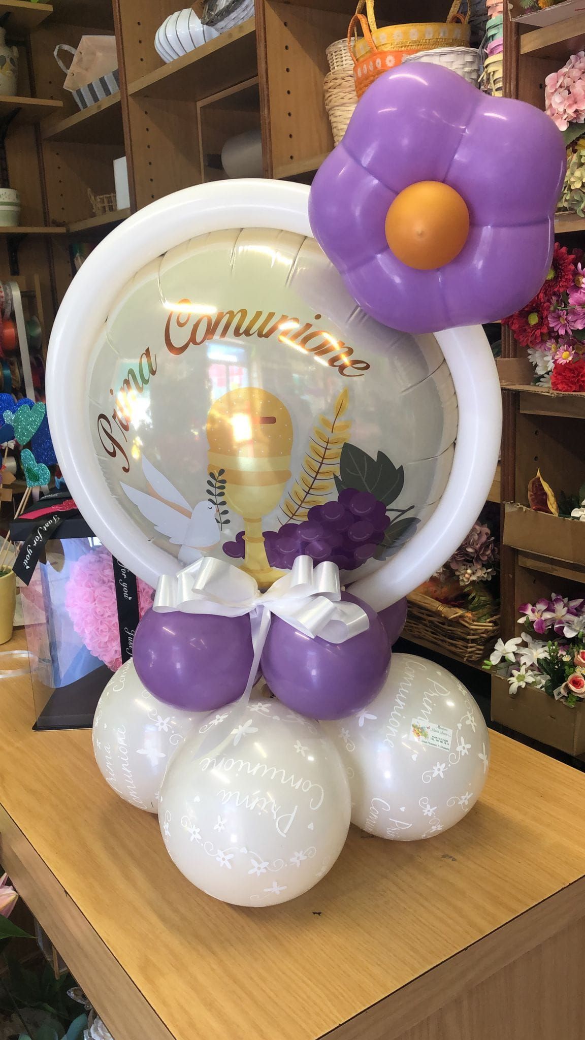 Marocco  fiori e piante