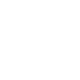 A white background with a few lines on it