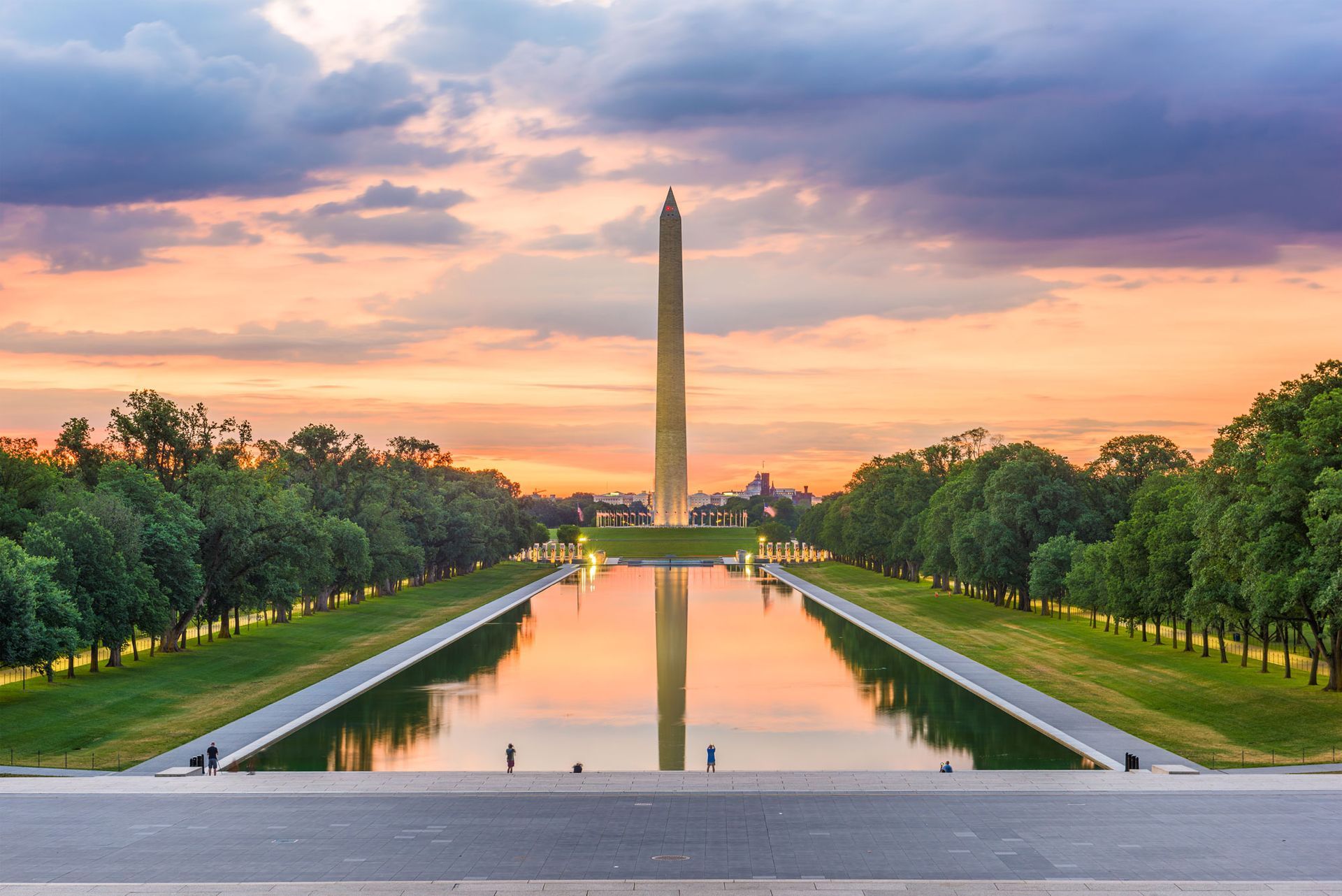 The washington monument is surrounded by trees and a large body of water.