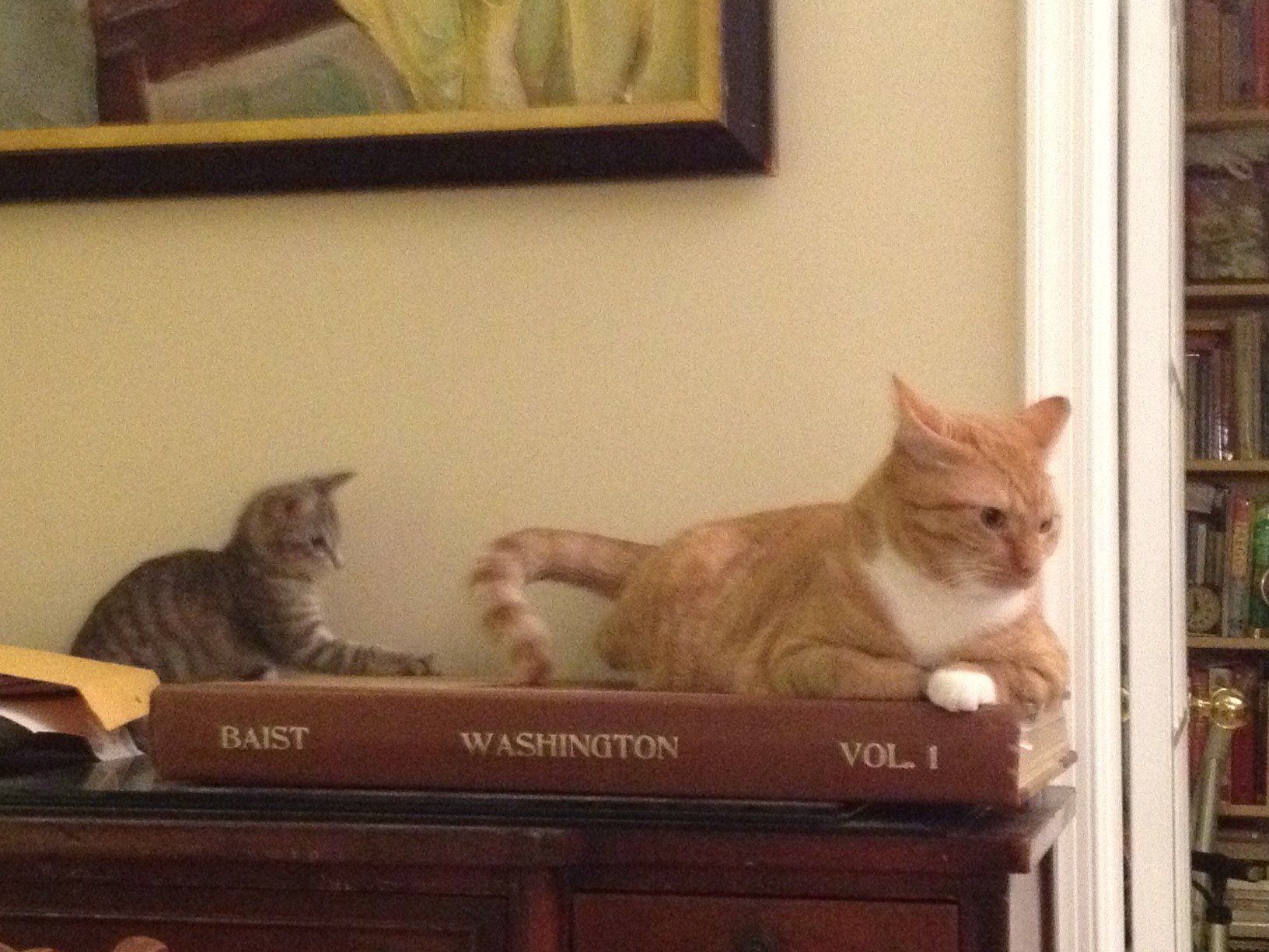 Two cats sitting on top of a book titled baist washington