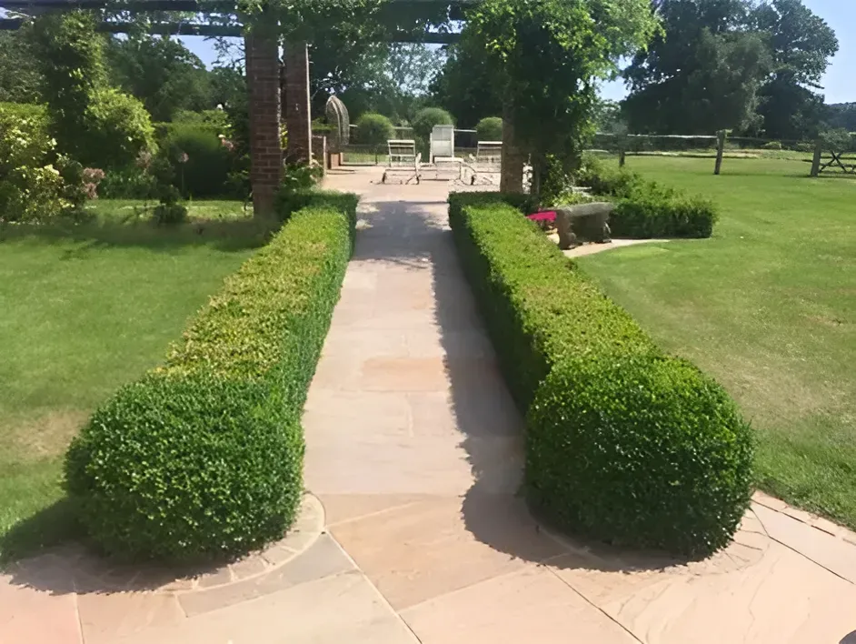 A path in a garden