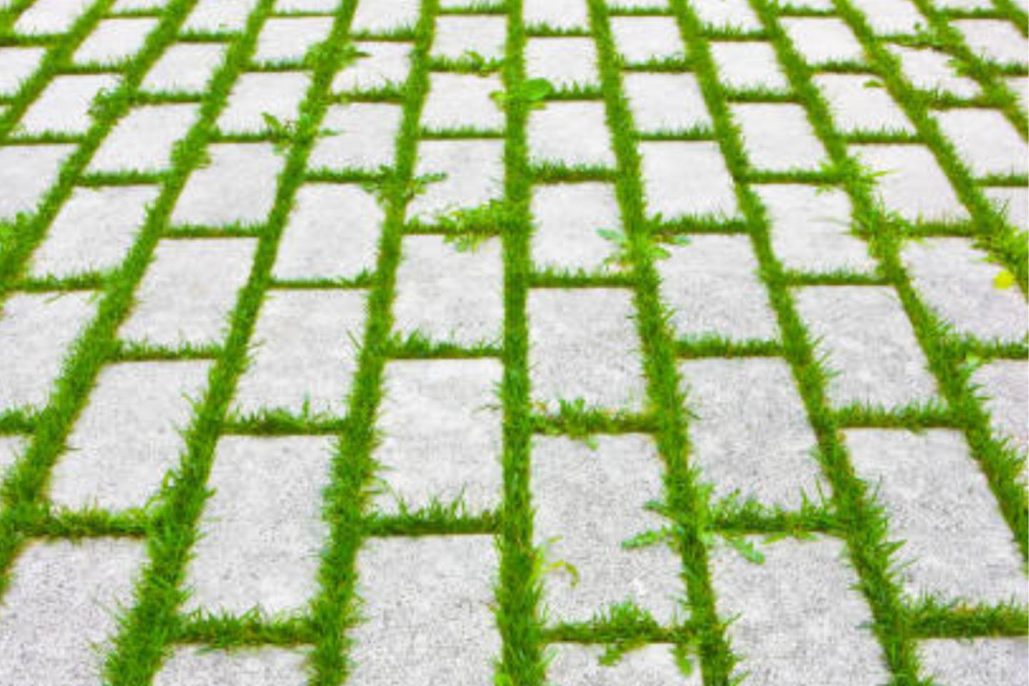 Block paving in Redhill with grass growing in between, forming a grid pattern.