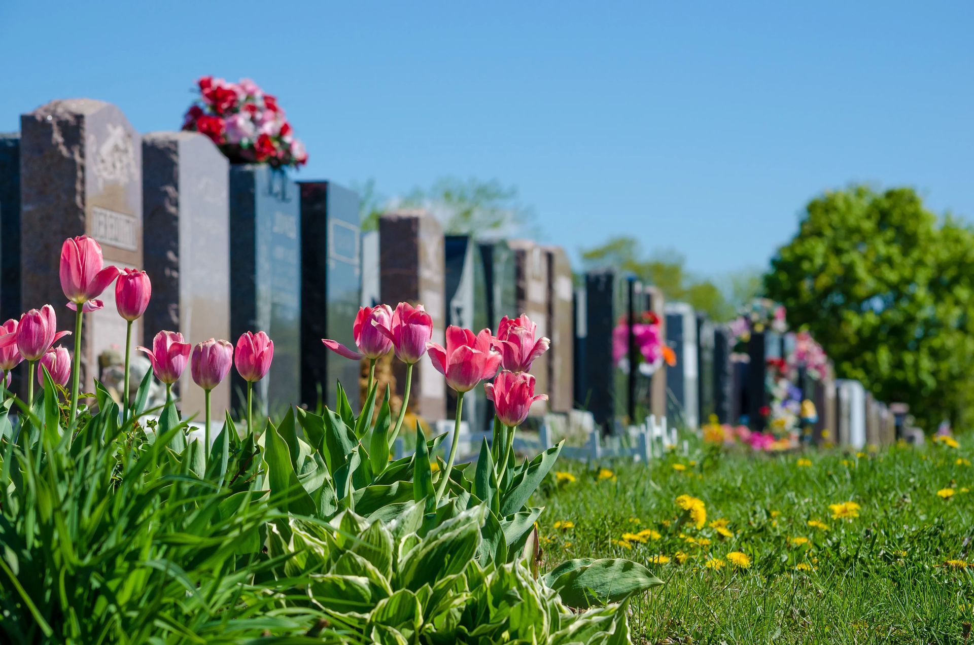 A man is holding a urn with flowers in his hands at a funeral.