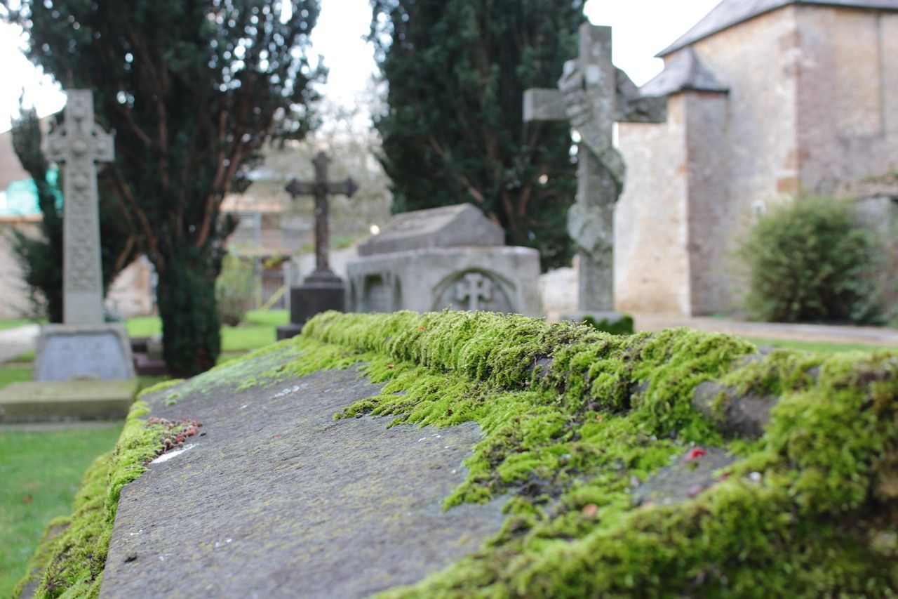 Picture of a cemetery in broad daylight with plants grown on the graves