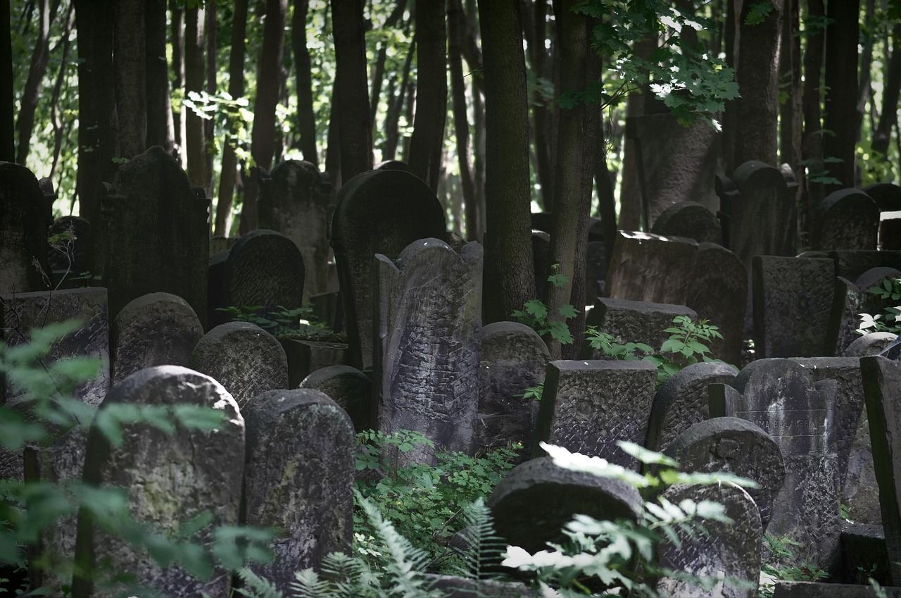 Photo of a cemetery surrounded by trees and plants.