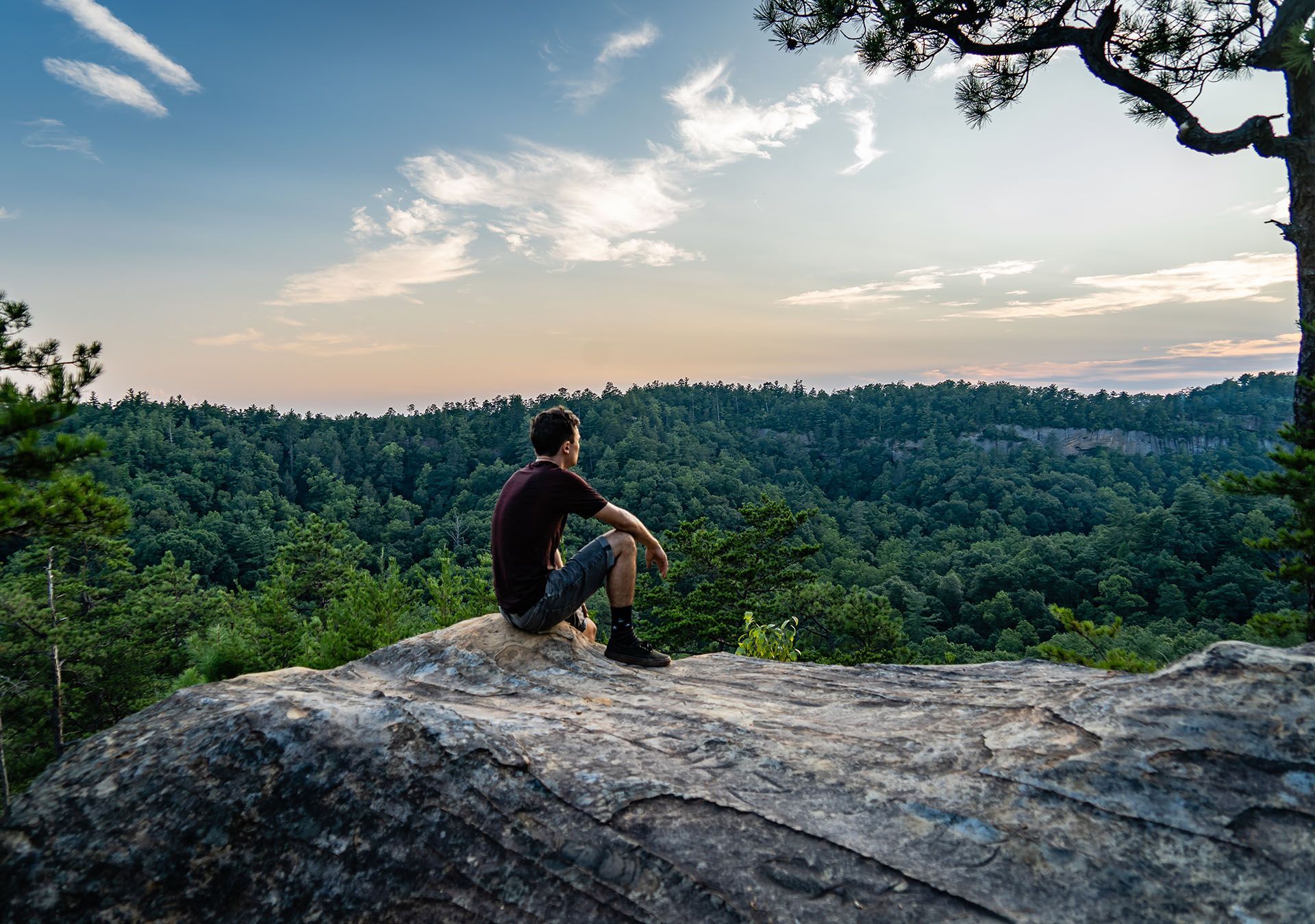 A man is sitting on top of a rock overlooking a forest.